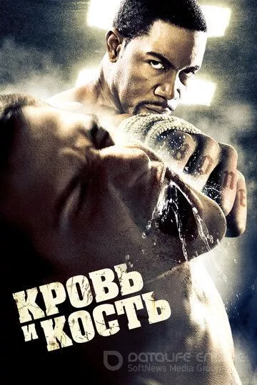 Кровь и кость / Blood and Bone (2009)